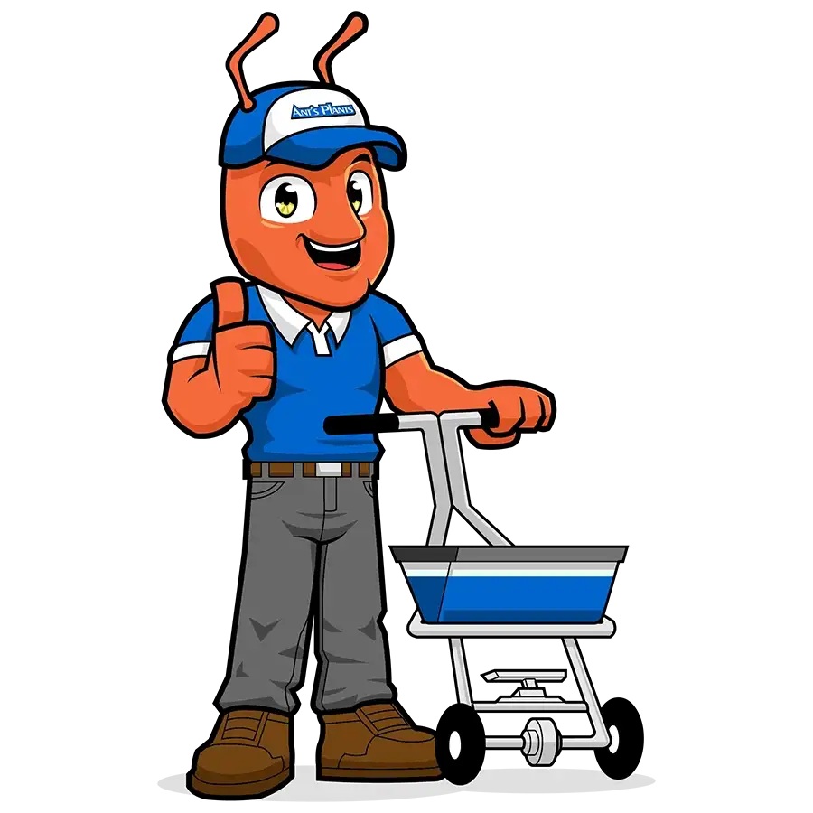 Home – Ant's Plants NJ Lawn Care & Pest Control